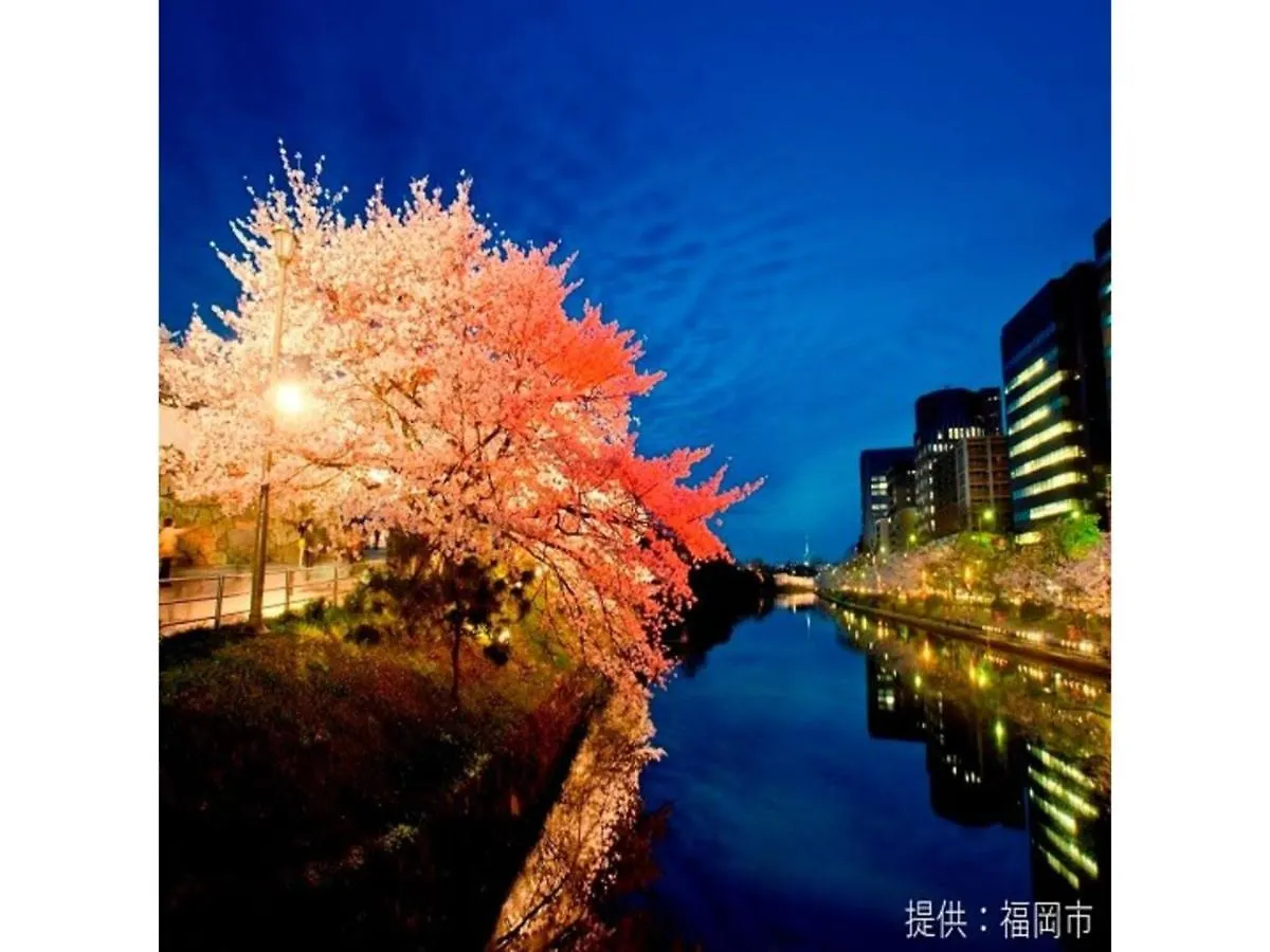 Court Hotel Fukuoka Tenjin - Vacation Stay 42334V Fukuoka (Fukuoka)